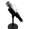 Микрофон с функцией караоке Wster WS1818 + чехол
