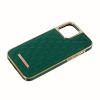 Накладка Puloka Leather Case Apple iPhone 12 Pro Max, Green