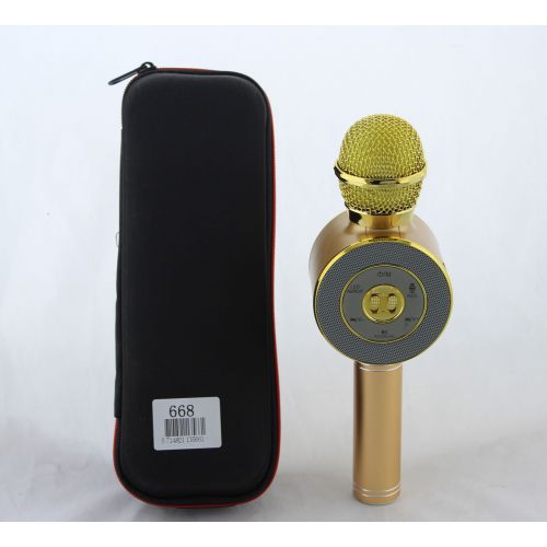 Мікрофон DM Karaoke WS668 + чохол