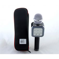 Мікрофон з функцією караоке Wster WS1818 + чохол