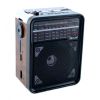 Радіоприймач Golon RX 9100 портативна колонка USB / SD / MP3 / FM / LED ліхтарик