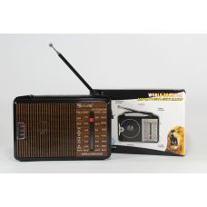 Радио Golon RX 608
